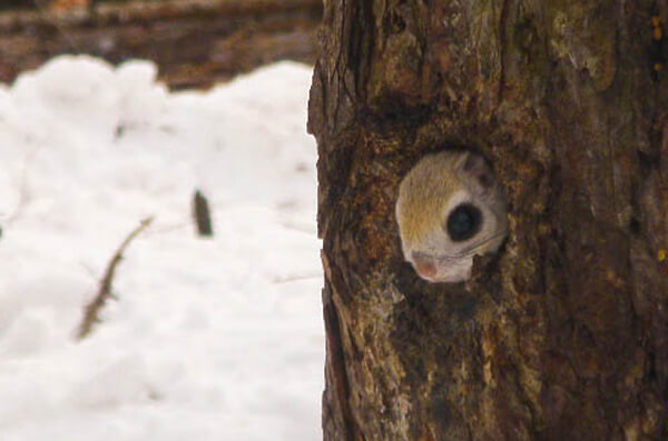 株式会社中川建設　中川の自然　写真4