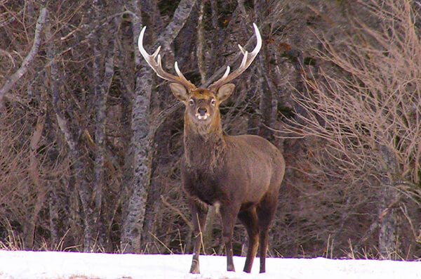 株式会社中川建設　中川の自然　写真9